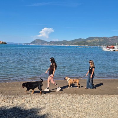 Zwei jungen Frauen gehen mit zwei Hunden an der Leine am Strand von Portoferraio, Elba, spazieren.