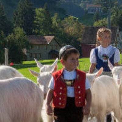 Alpabzug