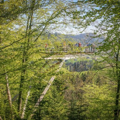 Baumwipfelpad-Neckertal-Ausflugstipp-Familienausflug-Natur-Toggenburg