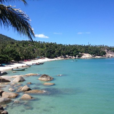 Strand mit Palme in Koh Phangan