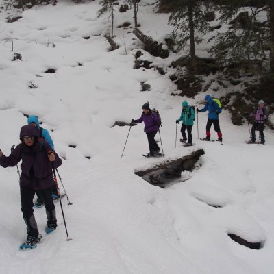 schneeschuhtour meierhof natur winter schneeschuhwanderung